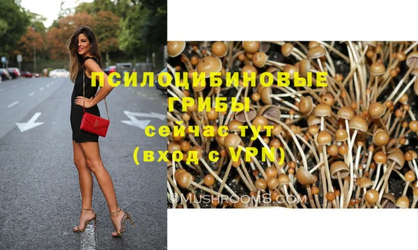 спайс Армянск