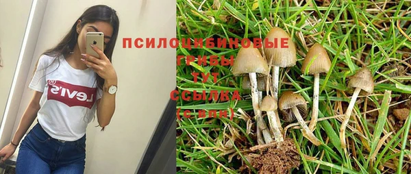 spice Аркадак