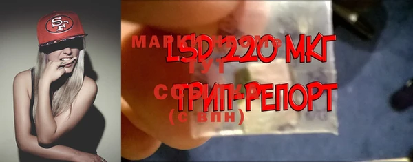 спайс Арсеньев