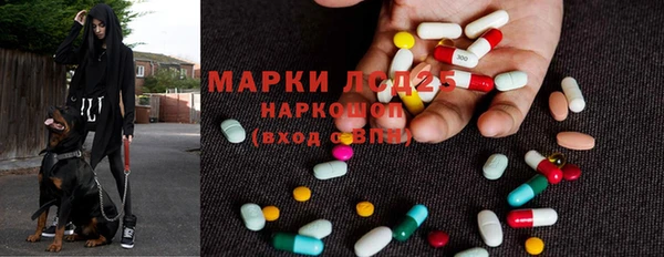 спайс Арсеньев