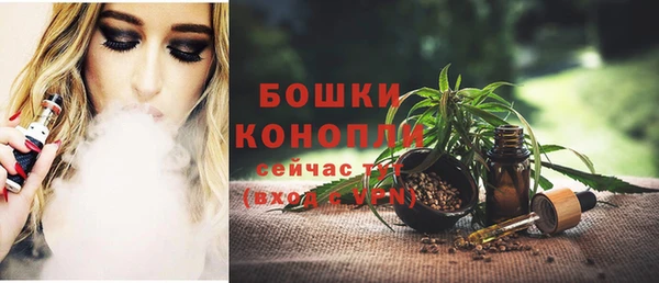 spice Аркадак