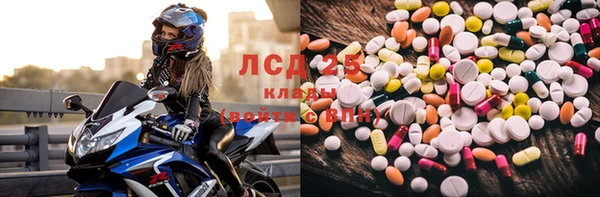 spice Аркадак