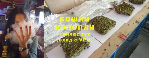 spice Аркадак