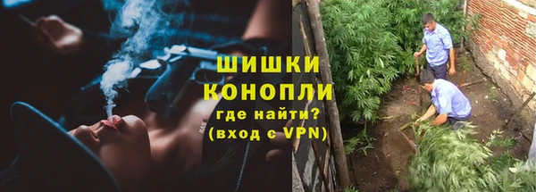 спайс Арсеньев