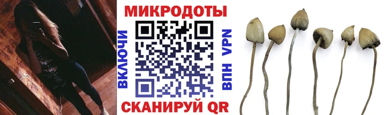 omg ссылка  где купить наркоту  Ленинск  Галлюциногенные грибы Psilocybe 